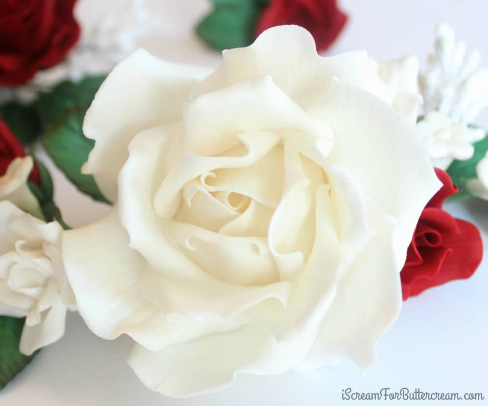 White sugar rose